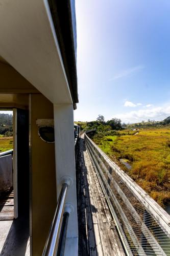 010_Tag 54 - Kawakawa