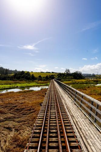 011_Tag 54 - Kawakawa
