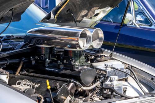 109_Tag 60 - Matamata