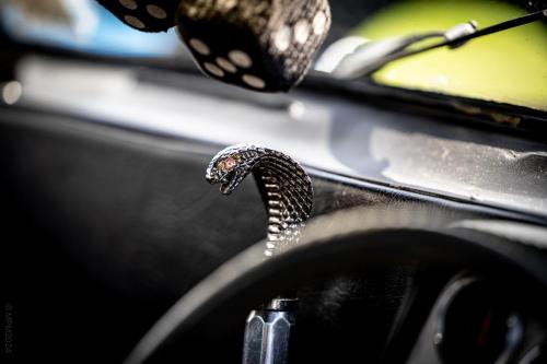 110_Tag 60 - Matamata