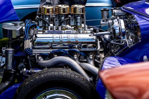 113_Tag 60 - Matamata