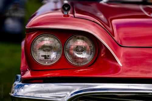 116_Tag 60 - Matamata