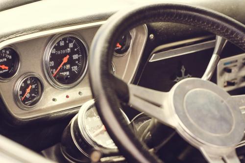 118_Tag 60 - Matamata