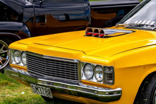 119_Tag 60 - Matamata