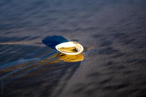 132_Tag 60 - Ohiwa Beach