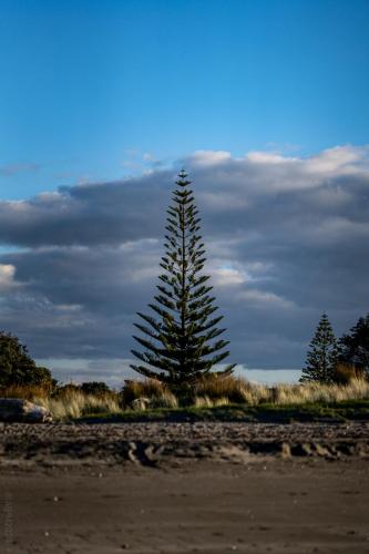 133_Tag 60 - Ohiwa Beach