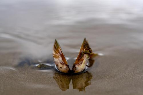 053_Tag 56 - Waipu Cove