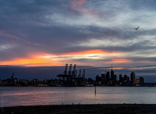 Tag 03 - Skyline Auckland