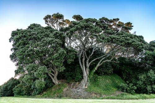 Tag 9 - Graham (boring) Beach