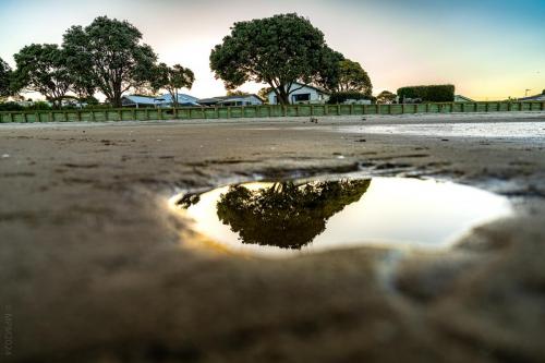 Tag 9 - Graham (boring) Beach