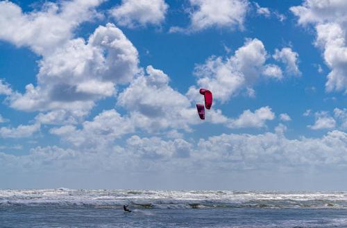 Tag 12 - Muriwai Beach