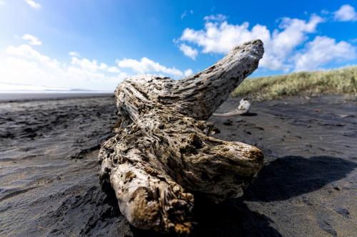 Tag 12 - Muriwai Beach