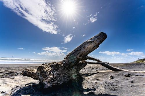Tag 12 - Muriwai Beach
