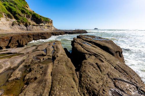 Tag 12 - Muriwai Beach