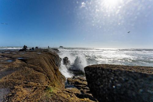 Tag 12 - Muriwai Beach