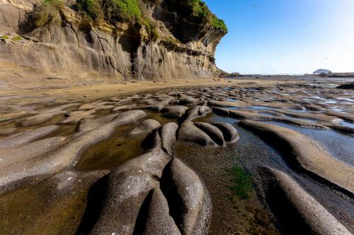 Tag 12 - Muriwai Beach
