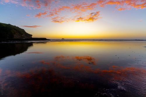 Tag 12 - Muriwai Beach