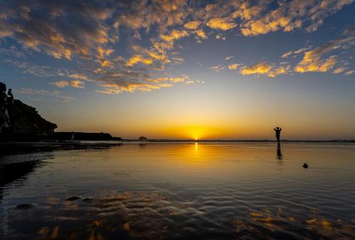 Tag 12 - Muriwai Beach