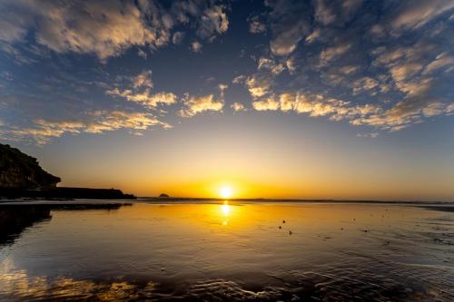 Tag 12 - Muriwai Beach