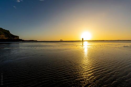 Tag 12 - Muriwai Beach
