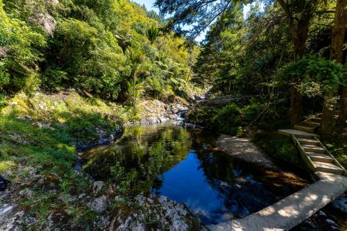 Tag 15 - Piroa Falls