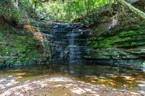 Tag 6 - Waterfall Shakespear Park