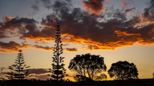 Tag 8 - Hatfields Beach