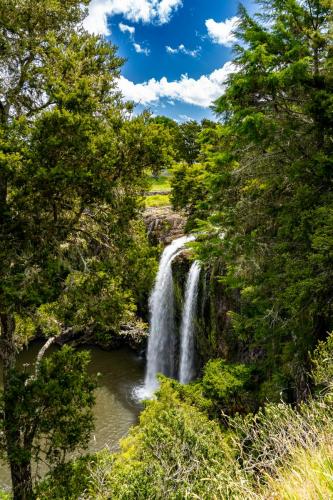 Tag 8 - Whangarei Falls