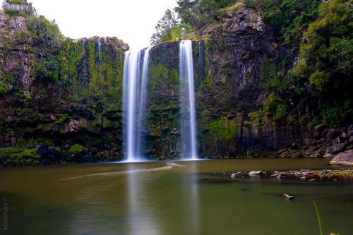 Tag 8 - Whangarei Falls