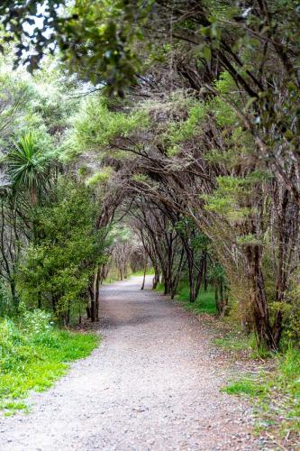 Tag 8 - Rundweg bei den Whangarei Falls